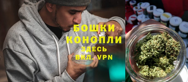 дживик Аркадак