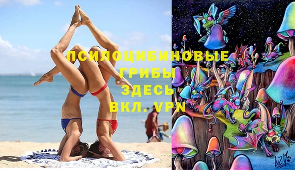 дживик Аркадак