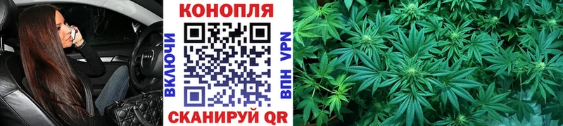 блэк спрут маркетплейс  Сясьстрой  Марихуана конопля 